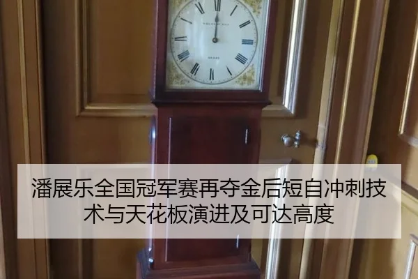 潘展乐全国冠军赛再夺金后短自冲刺技术与天花板演进及可达高度