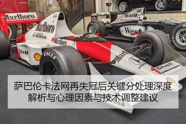 sa-ba-lun-ka-fa-wang-zai-shi-guan-hou-guan-jian-fen-chu-li-shen-du-jie-xi-yu-xin-li-yin-su-yu-ji-shu-tiao-zheng-jian-yi-2-214.jpg