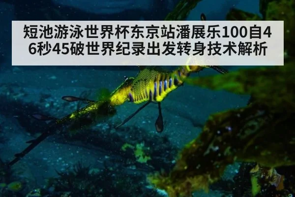 短池游泳世界杯东京站潘展乐100自46秒45破世界纪录出发转身技术解析 - hth.com